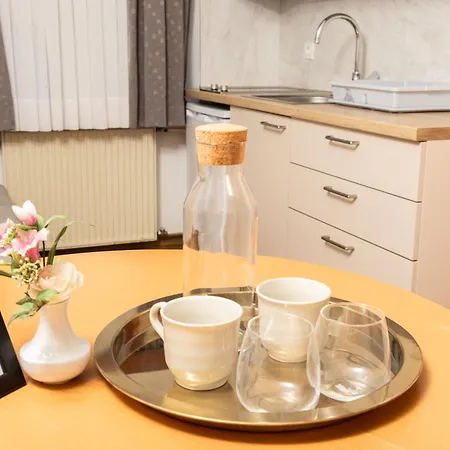 Guest house Spenko 3*