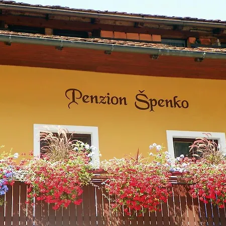 Spenko Kamnik