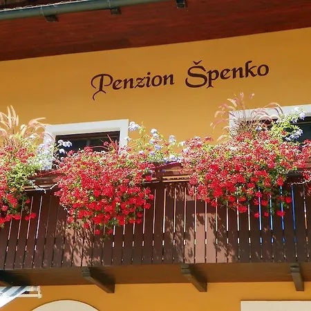 Konukevi Spenko Kamnik