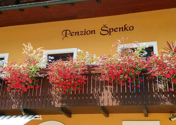 בית הארחה Spenko קמניק